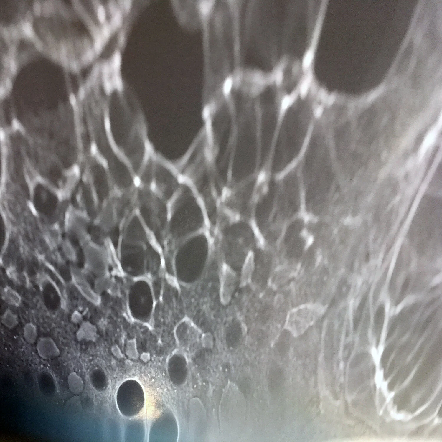 ASC Creative Renewal Fellowship | Dream Come True (6.15.20)