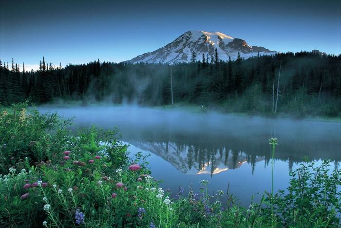EMDR can restore peace in your life….