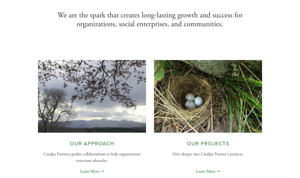 Catalpa_Parnters_Homepage2.png