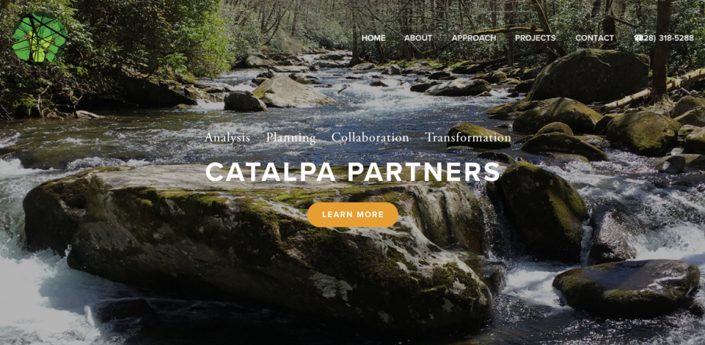 Catalpa_Parnters_Homepage.png