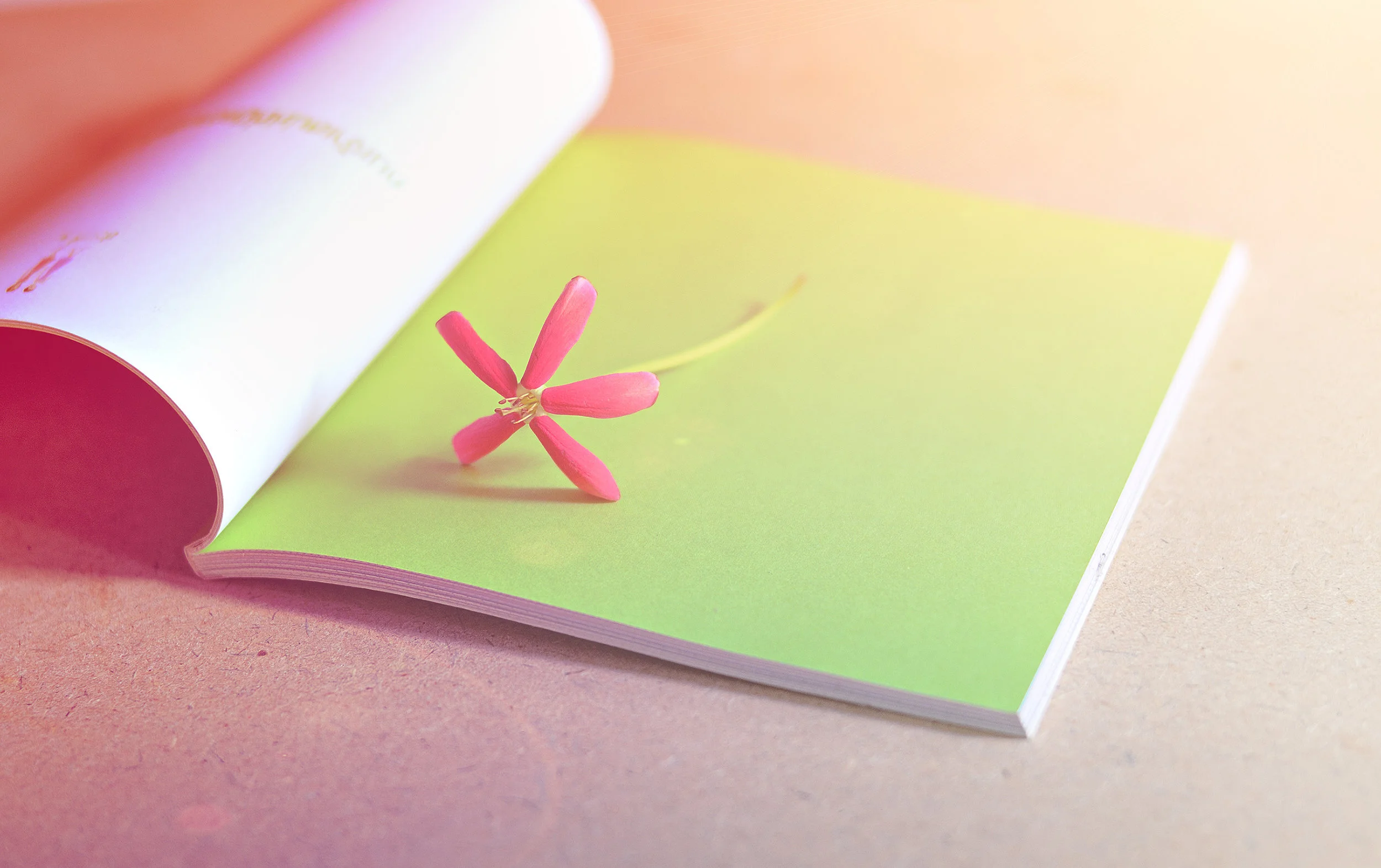 Book flower.jpg