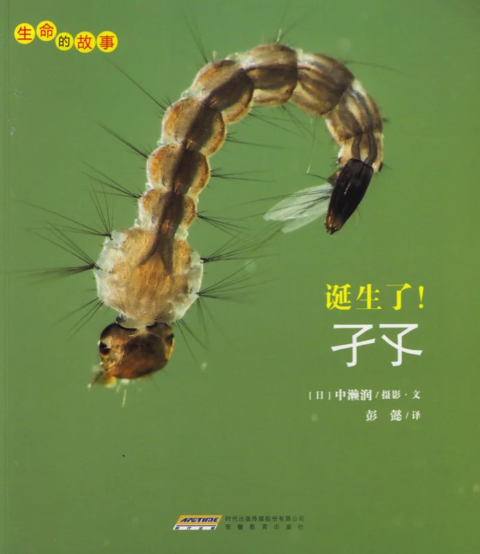 孑孓.jpg