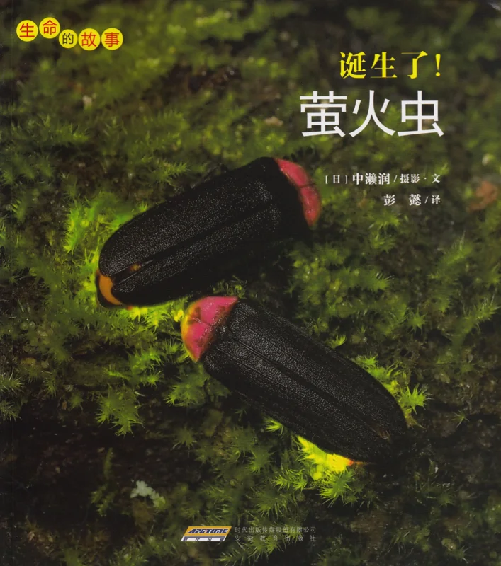 萤火虫.jpg