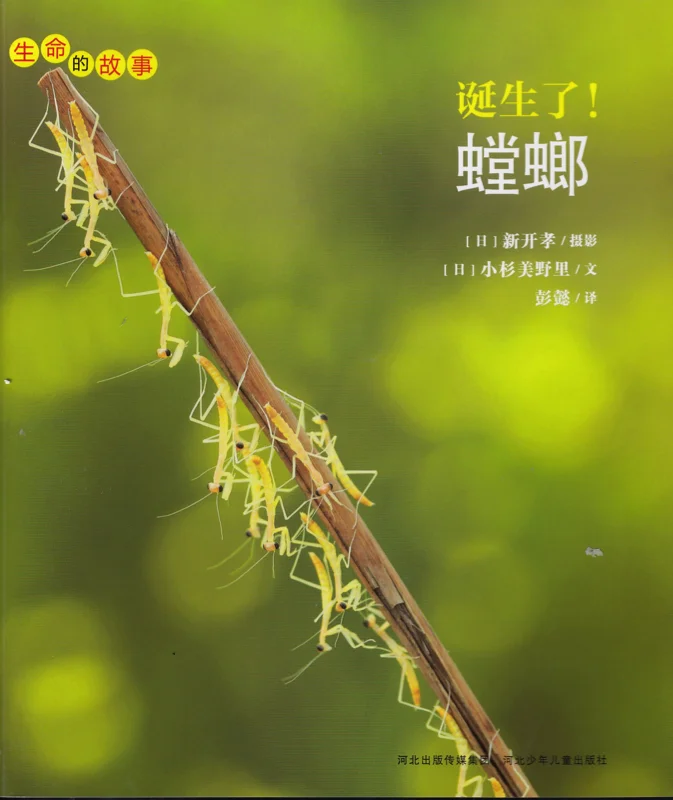 螳螂.jpg