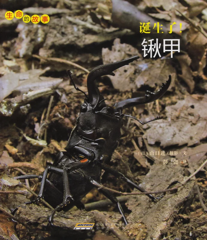 锹甲.jpg