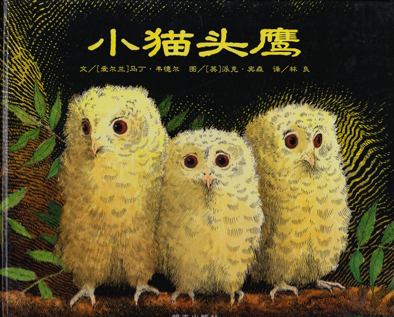 小猫头鹰.jpg