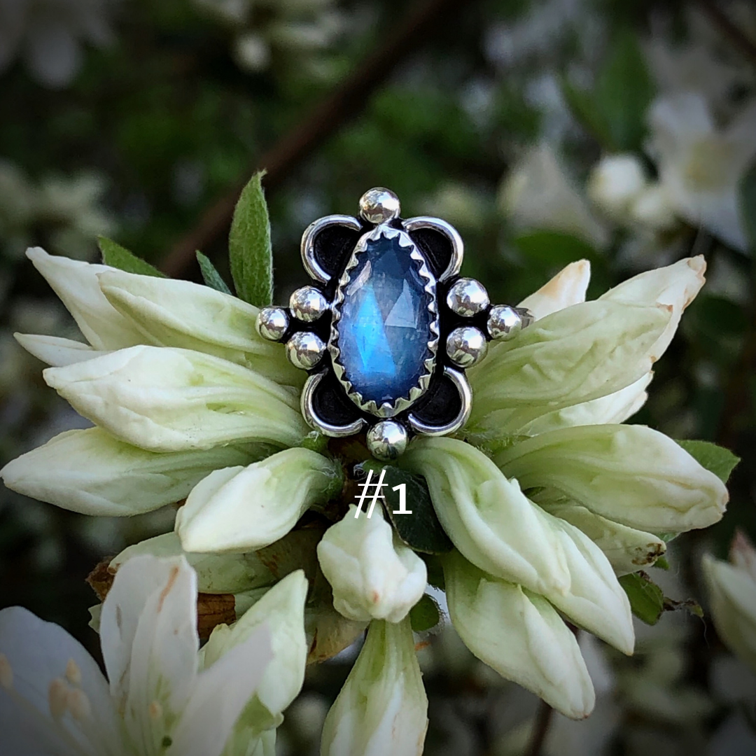 82AFCB8E-47D7-4066-800C-0691D402654B