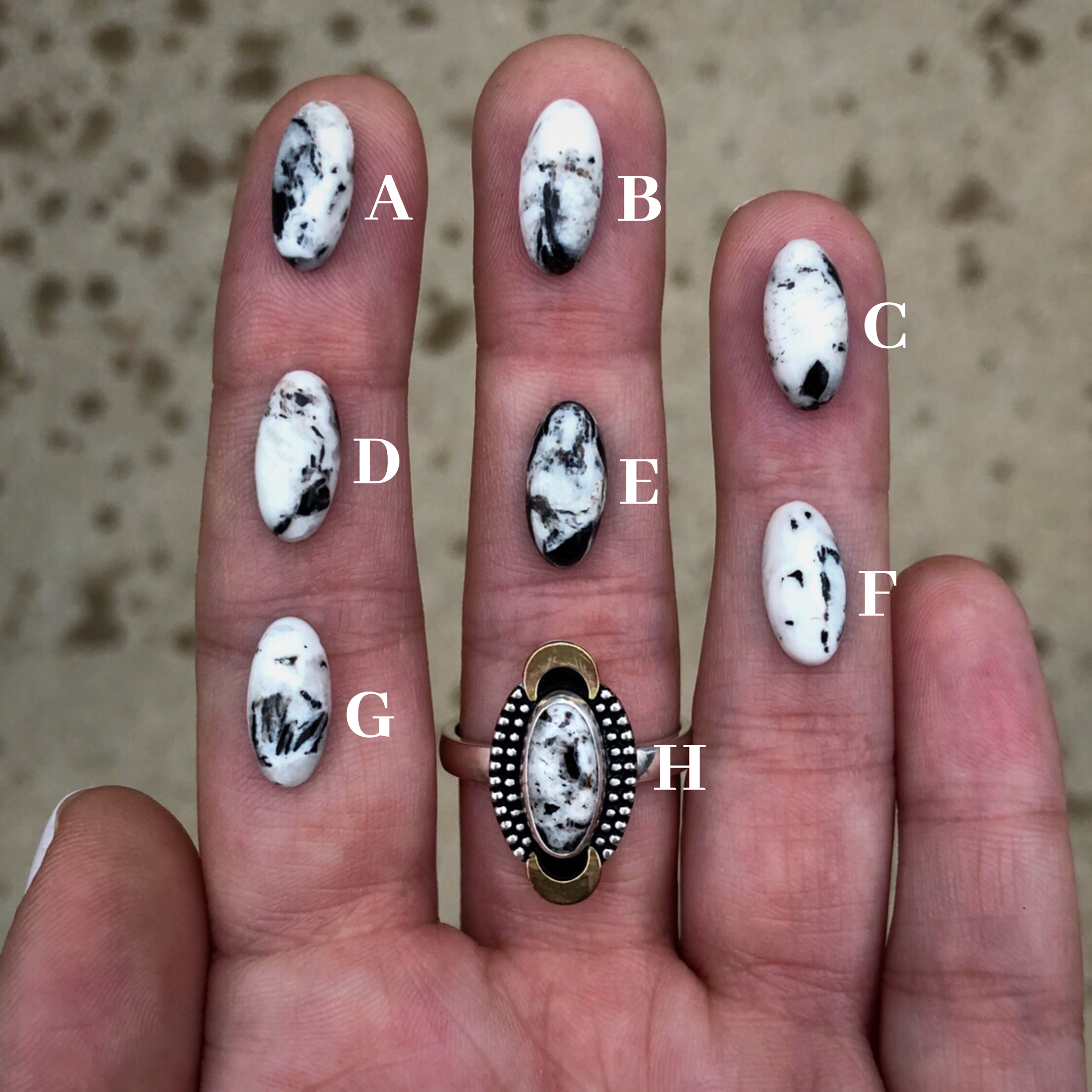 73C4A12A-6211-46F8-AE5C-817D3FA53A12