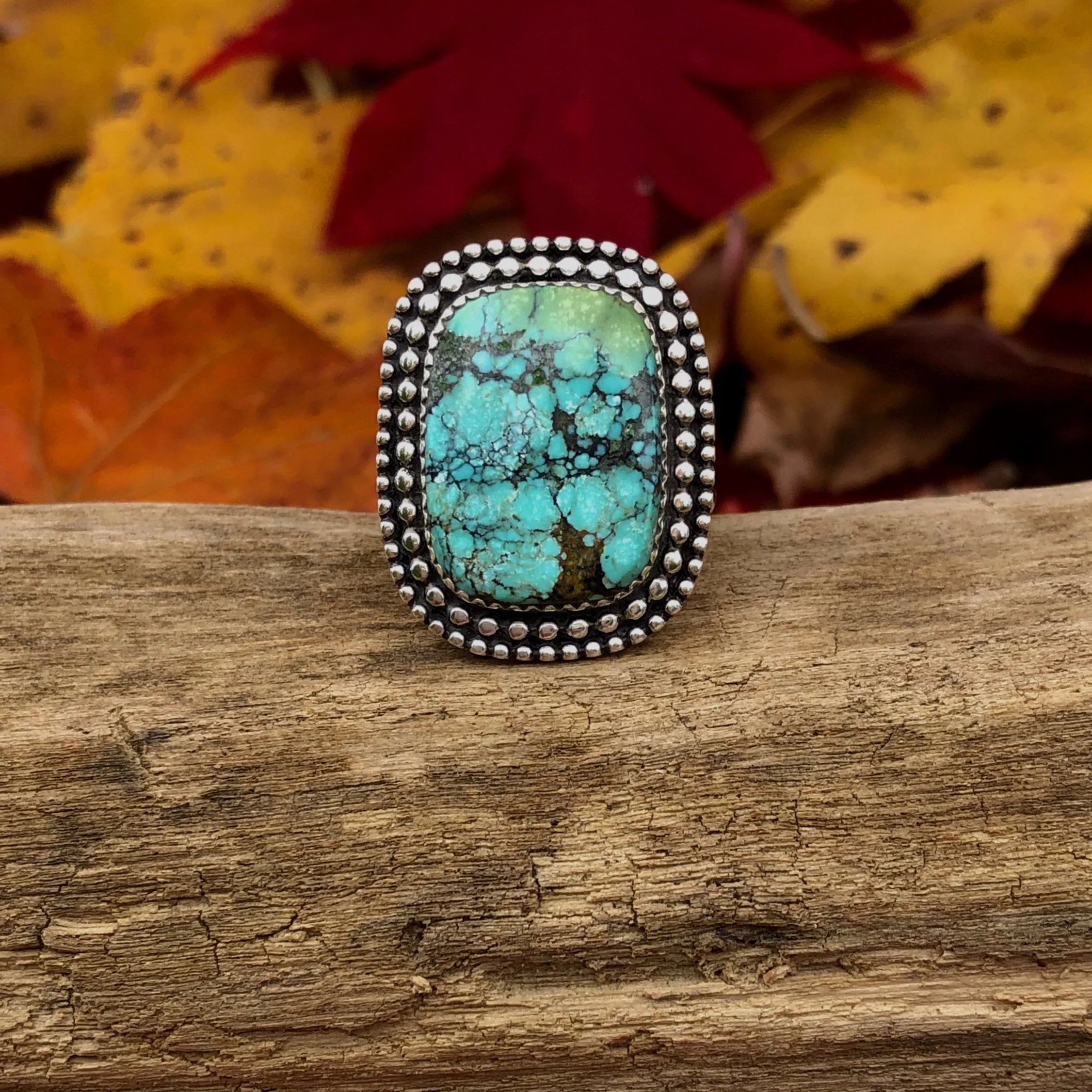 29AB1482-BD9A-435F-9F89-FA82B0125202