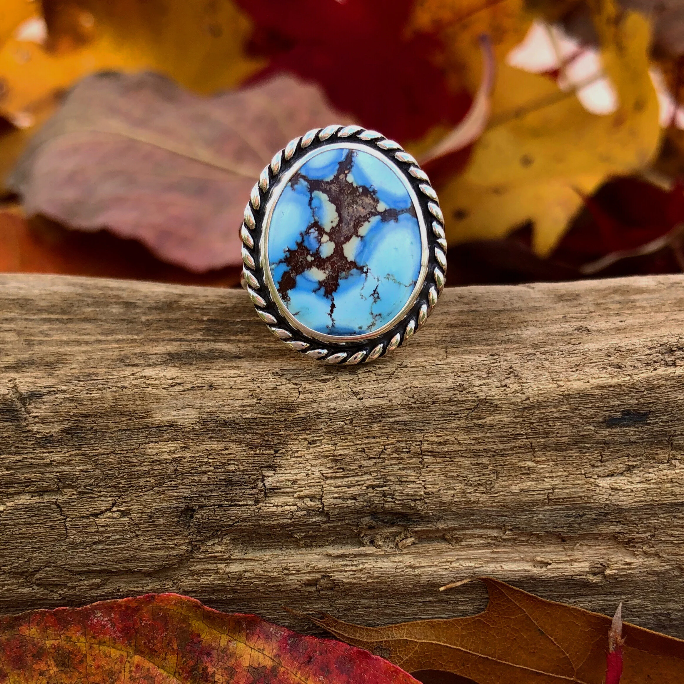 97318ABA-F499-411E-989D-0FA71D801855