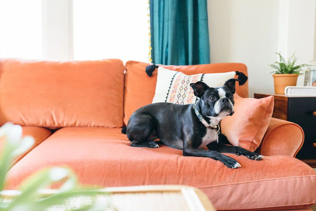 Take Heart Homes: Rifle Paper Co. Inspired Home with Jenny McRae