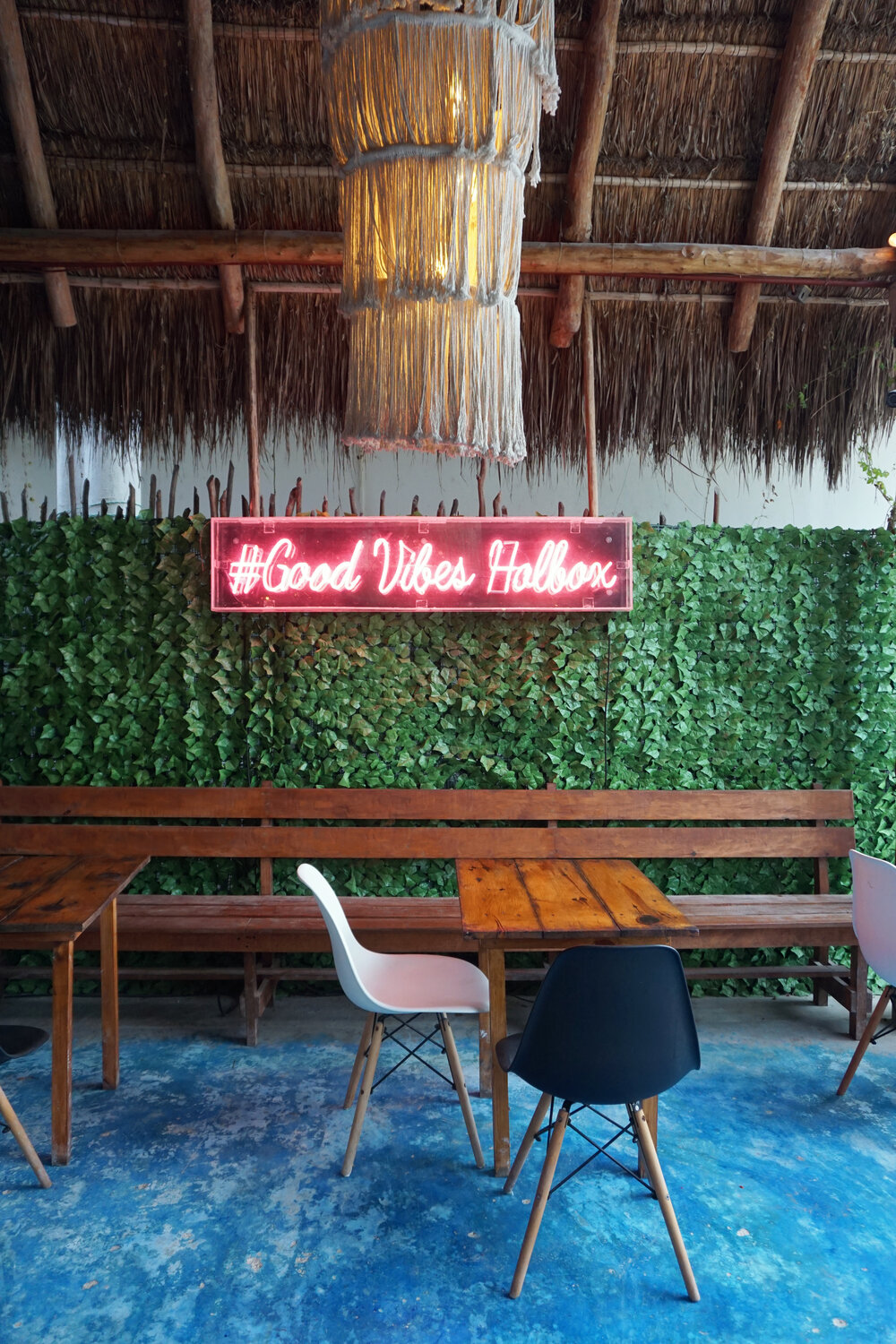 Where to Eat in Isla Holbox, Mexico