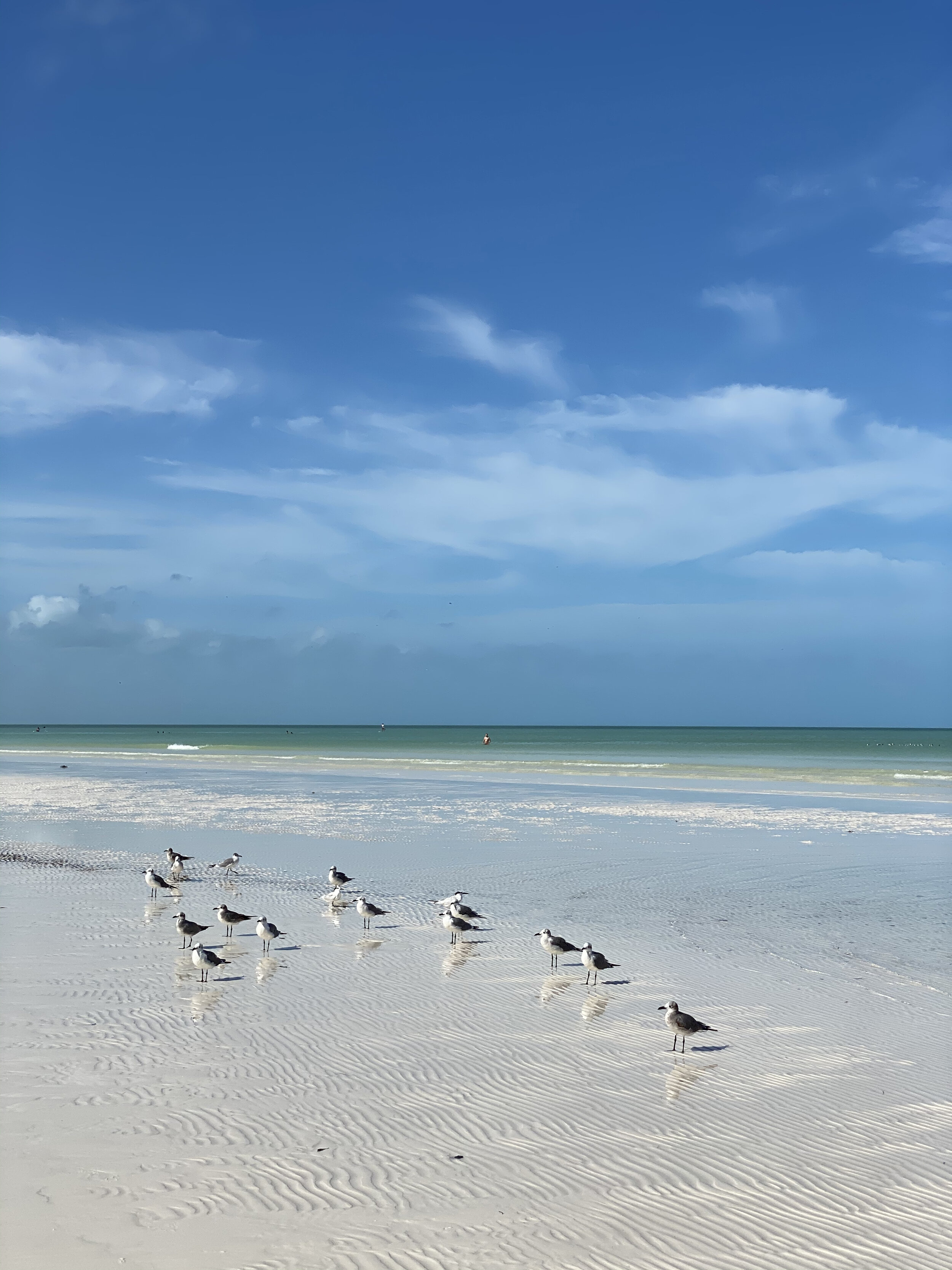 What to Do in Isla Holbox, Mexico