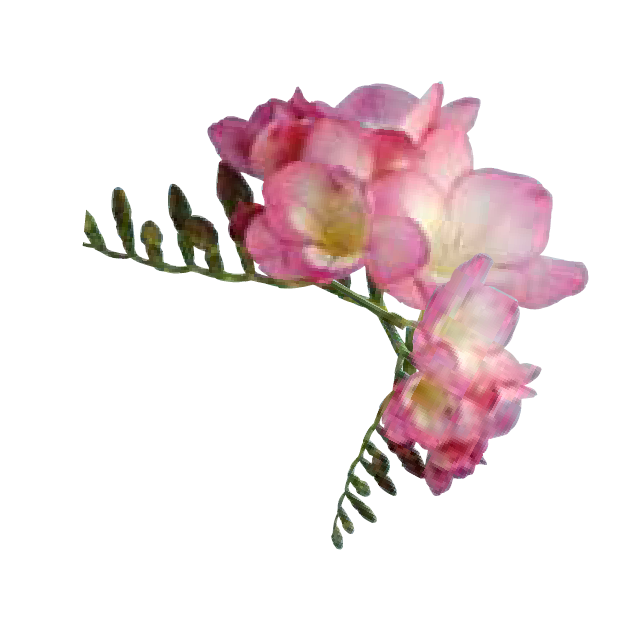 Gibson Real Estate - Logo_flower.png
