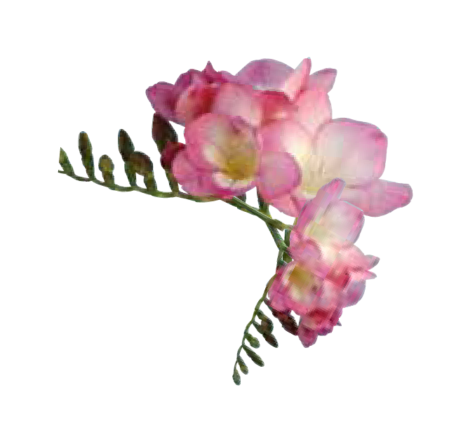 Gibson Real Estate - Logo_flower.png