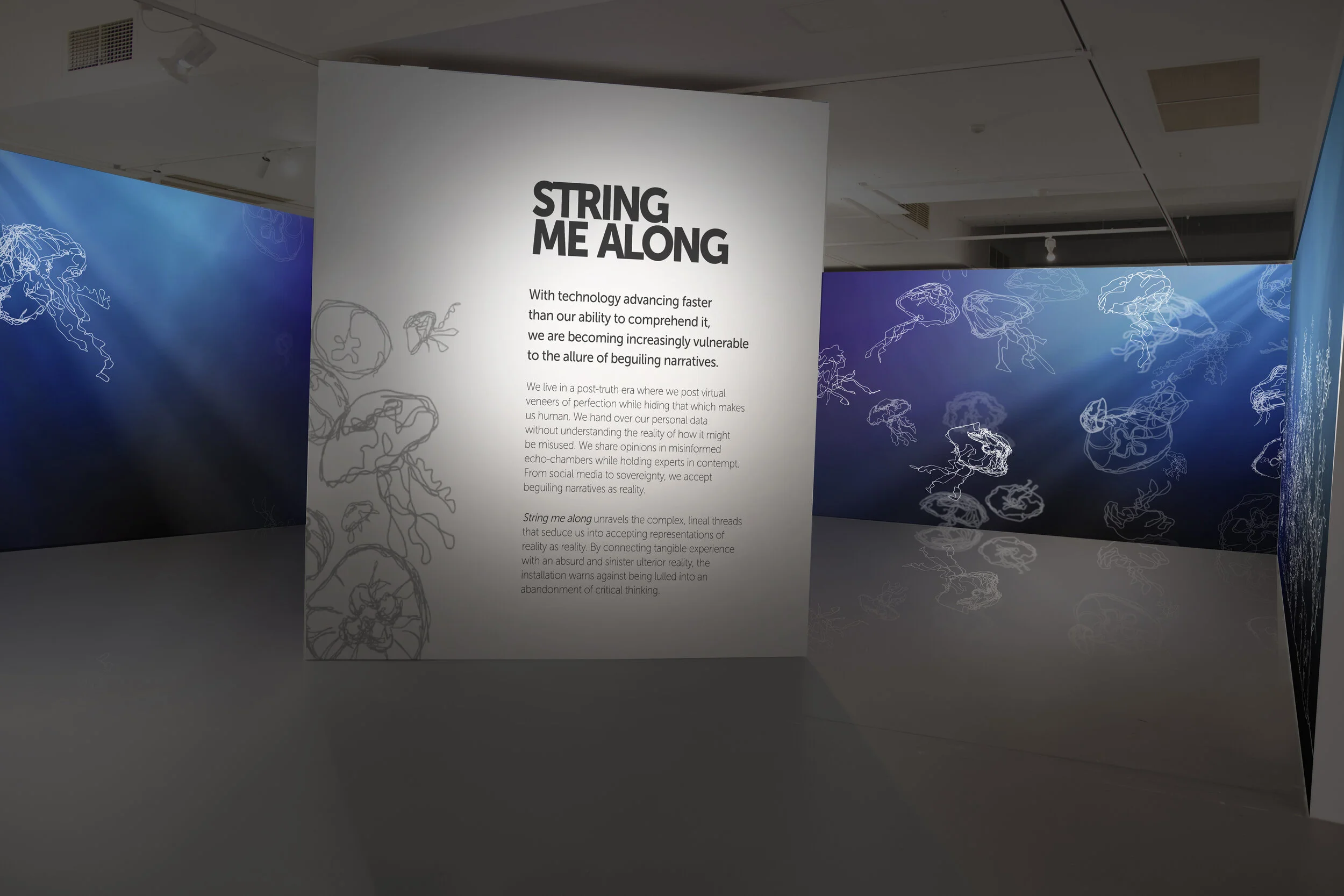 ACE GALLERY ENTRY reverse  projections.jpg