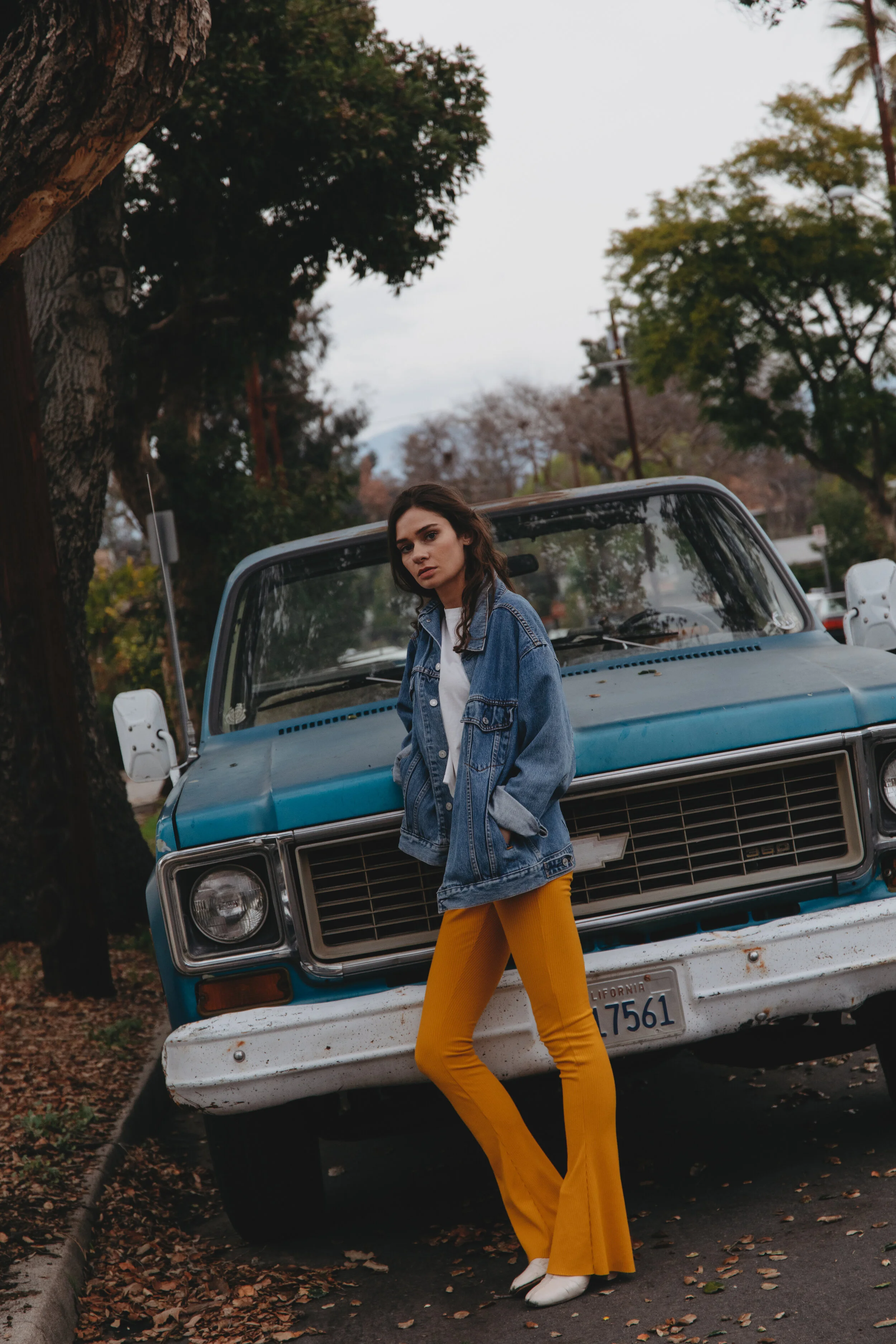 Sadie-9 (2).jpg