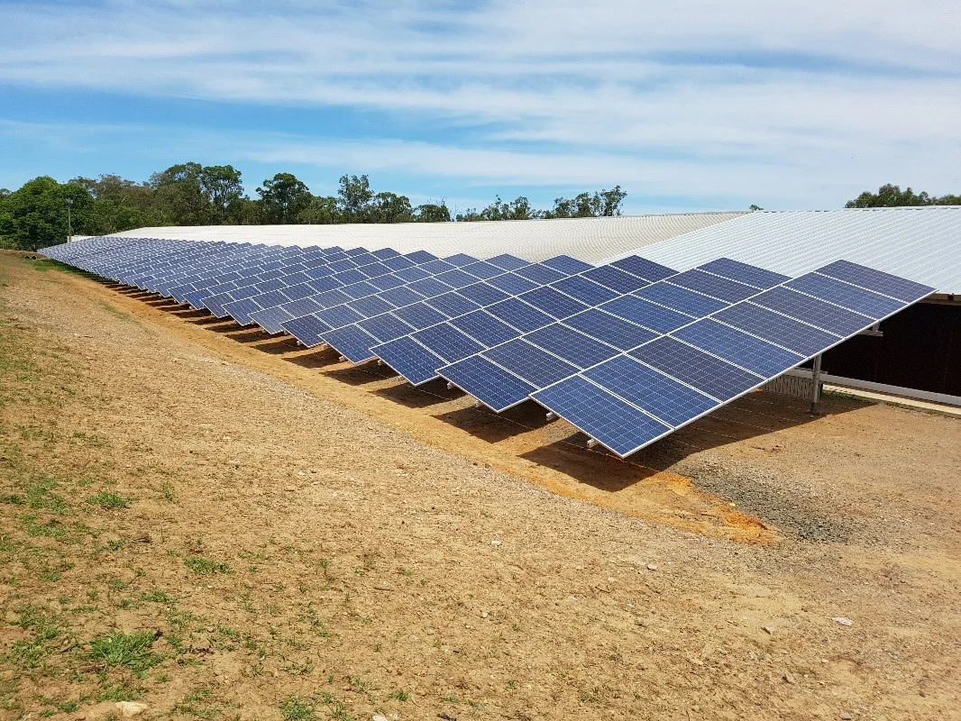 Single Axis Solar Tracker Chicken Farm.jpg
