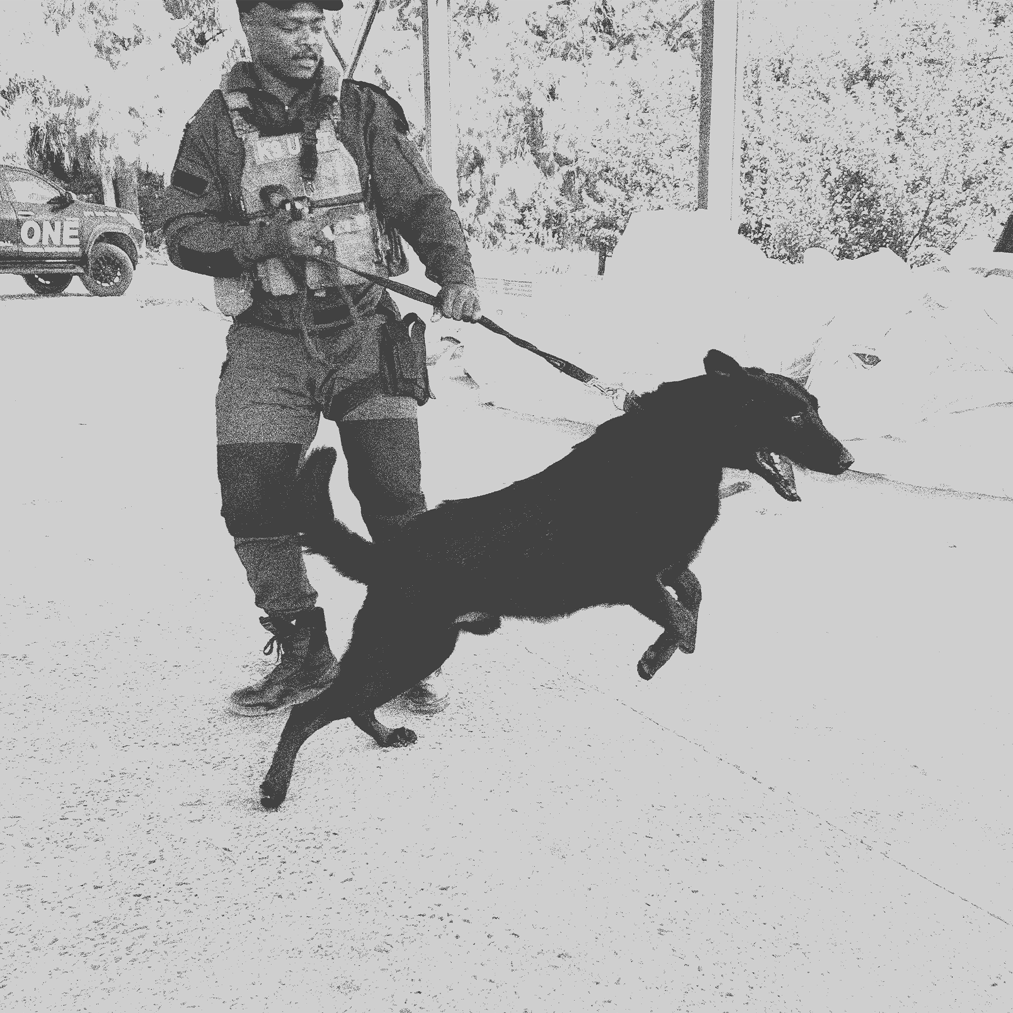 K9 DAX.png