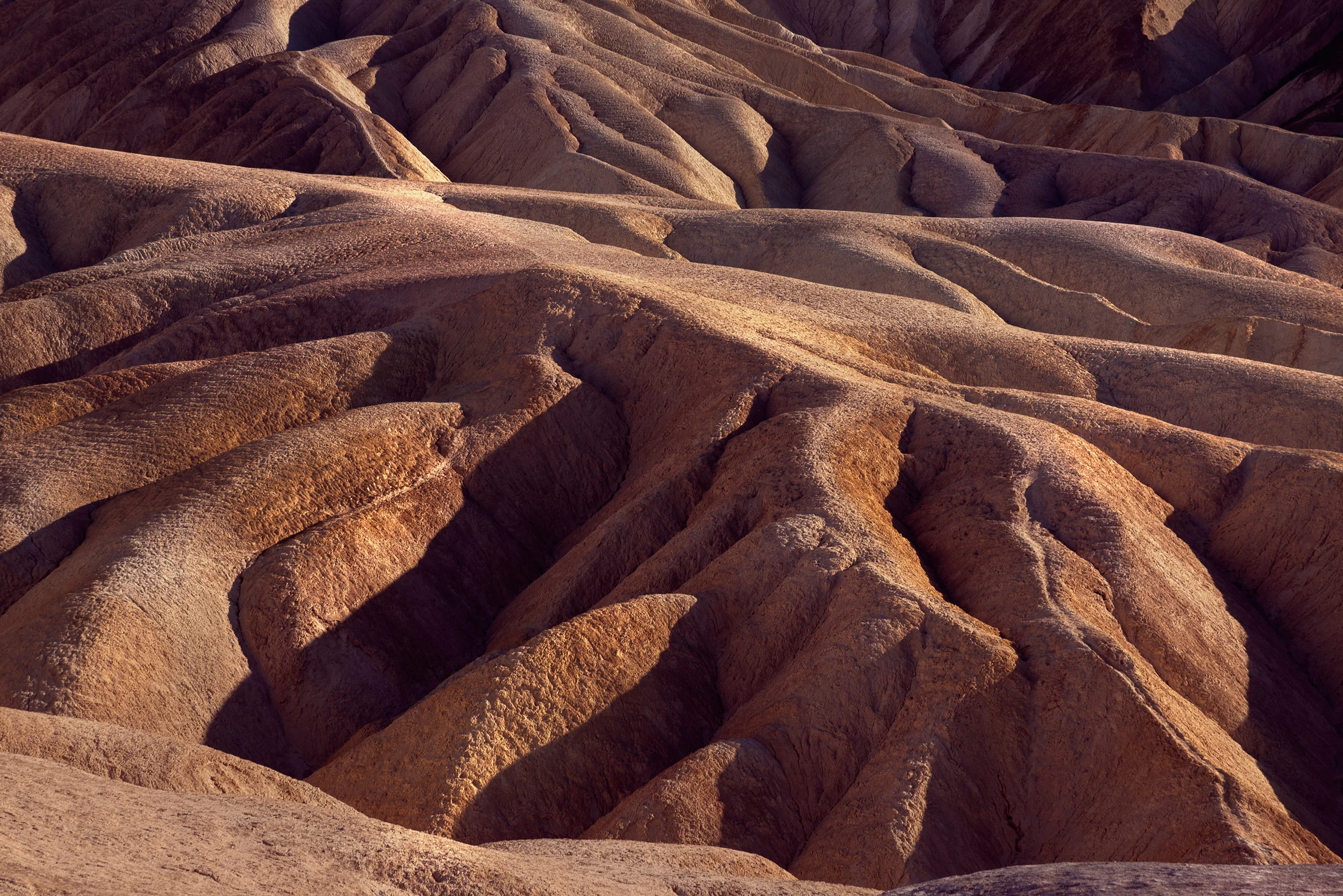 2016.10.16-Death-Valley-Textures-WEB.jpg