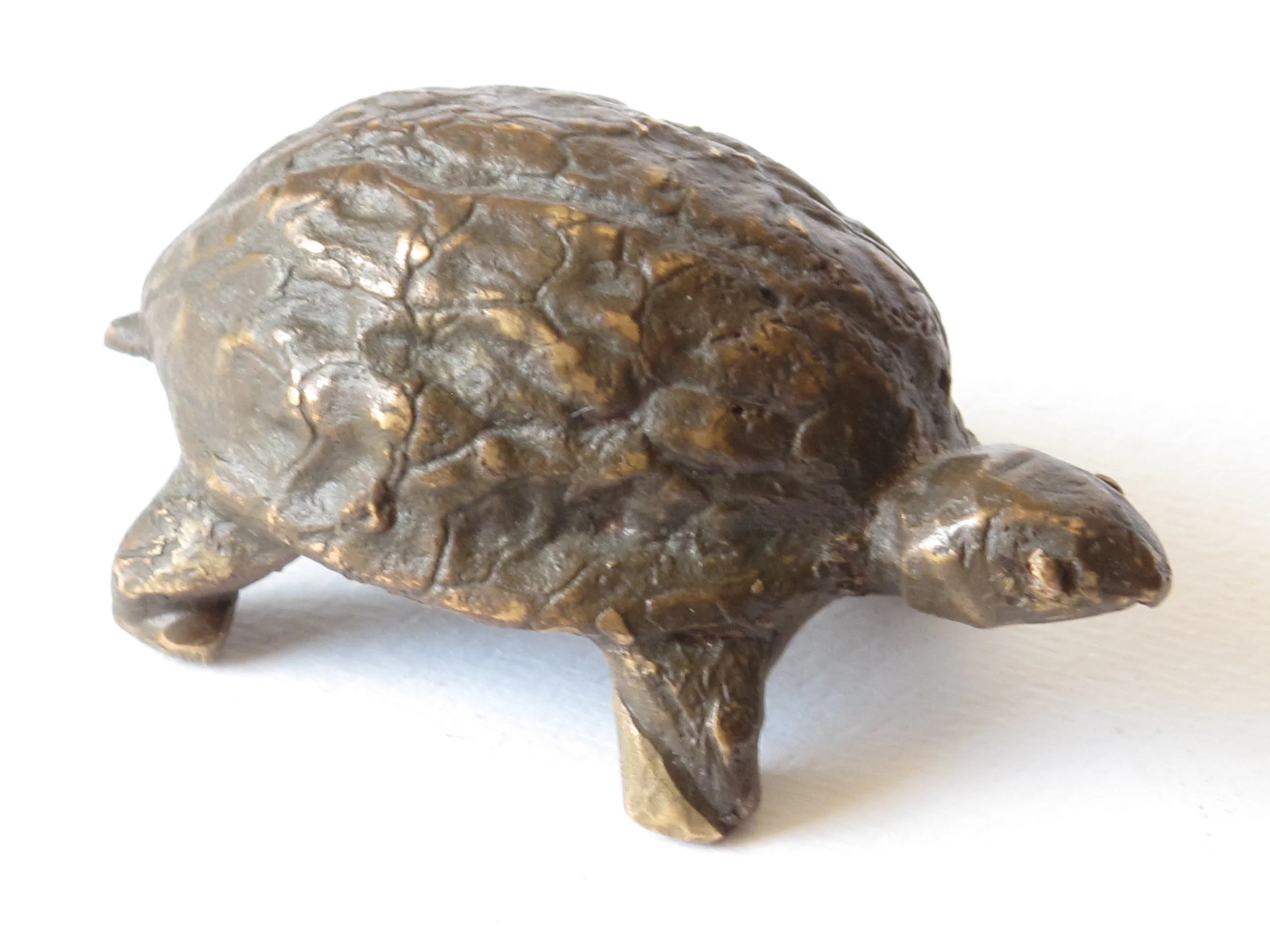 Title: Turtle / Year: 2009 / Material: Cast bronze