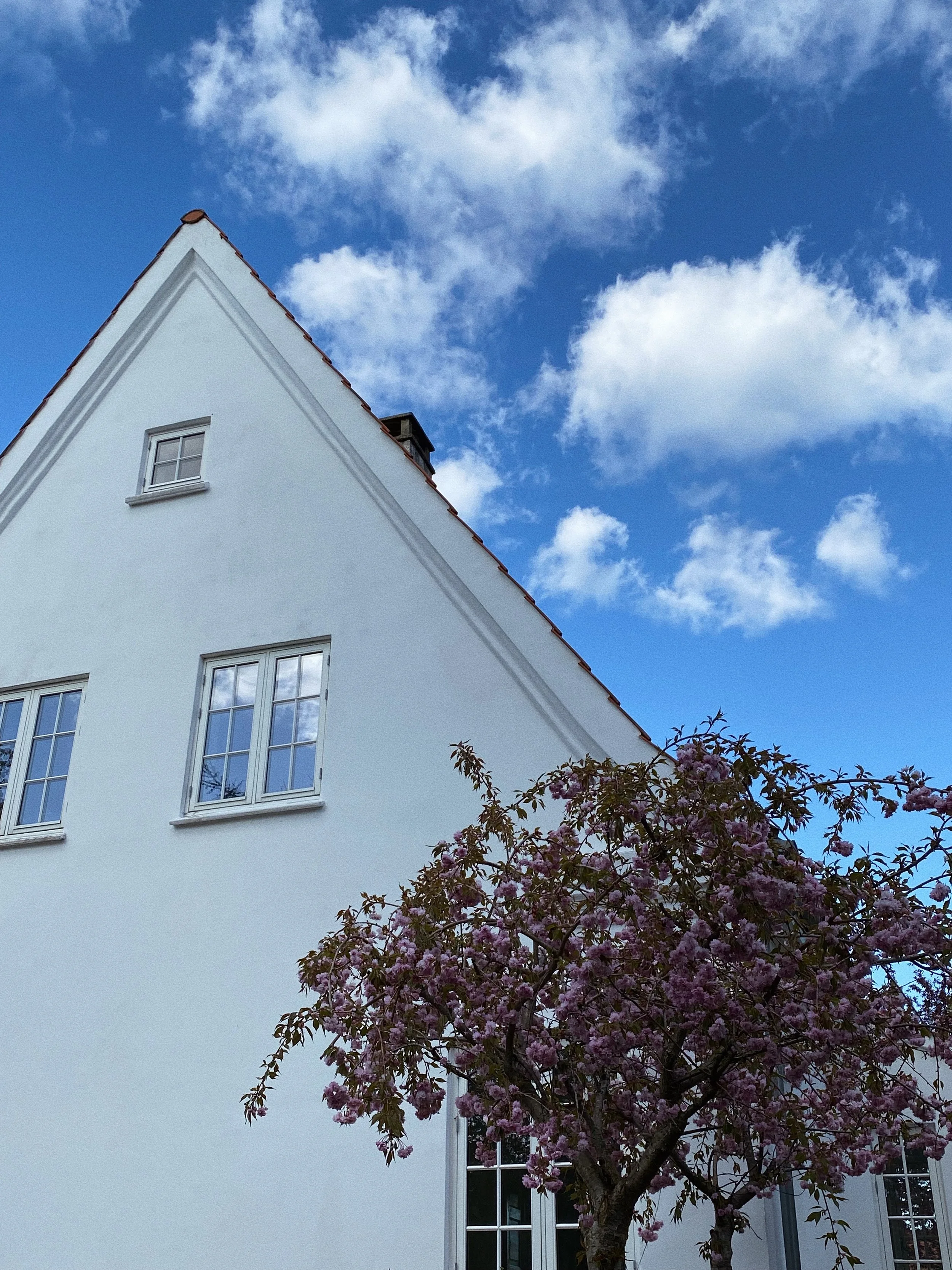 CE9A8F7C-8706-4401-A547-BB10F829B6DB 2.JPG