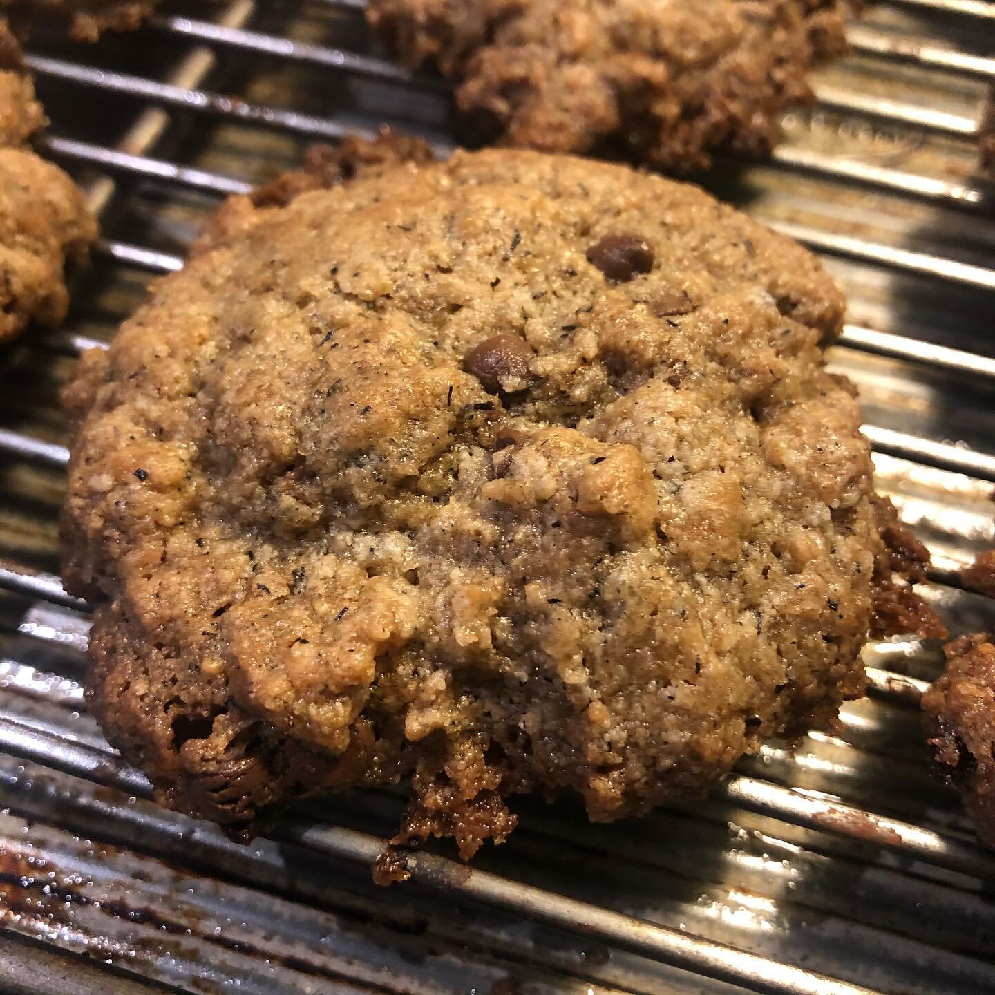 Can&rsquo;t resist @cloud9glutenfree chocolate chip cookies #vegan #kosher #dairyfree #wellness #rythmicdiet @craftsight #eatingwellness #curatingwellness #furtheringwellness #enablingchoice
..
..
What&rsquo;s your favourite gluten-free indulgence ?
