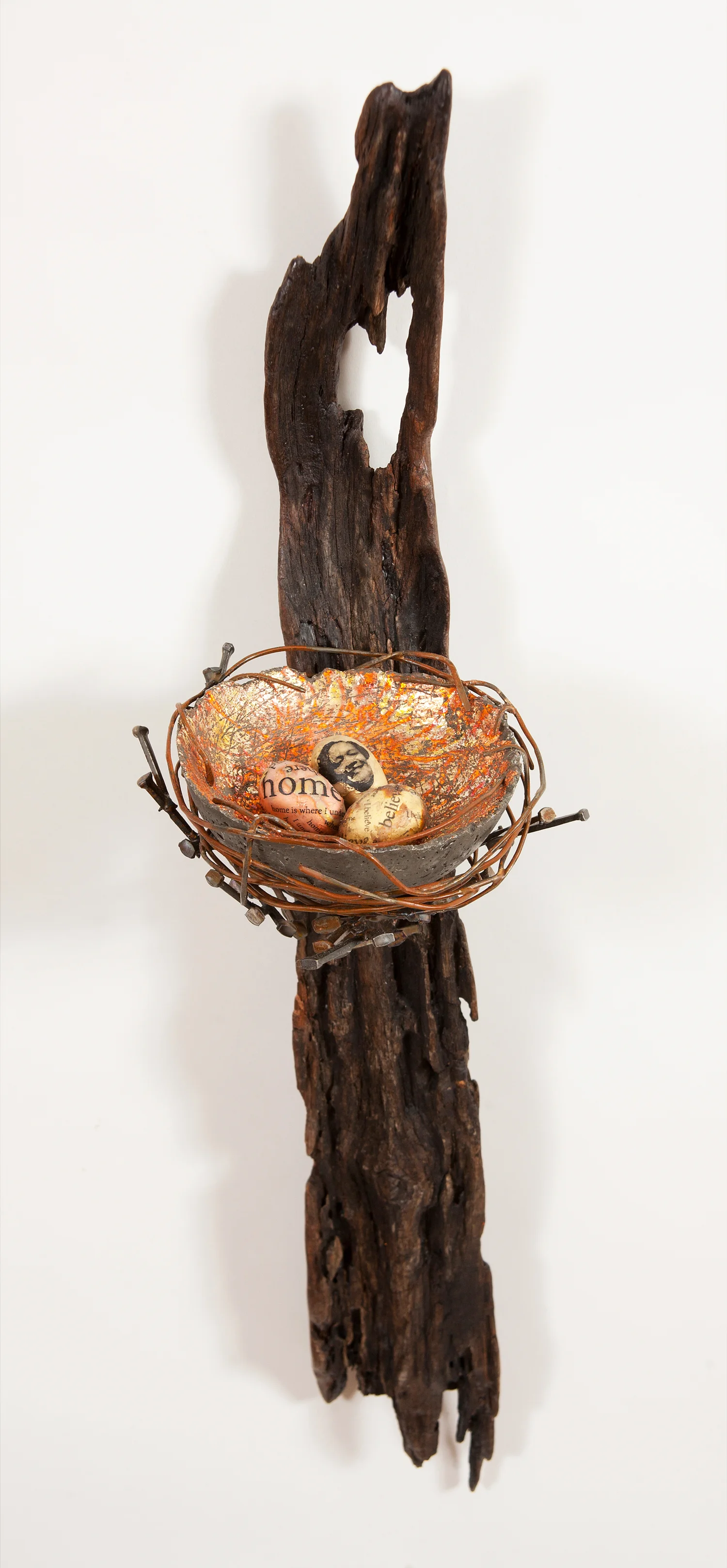 nest-four.jpg