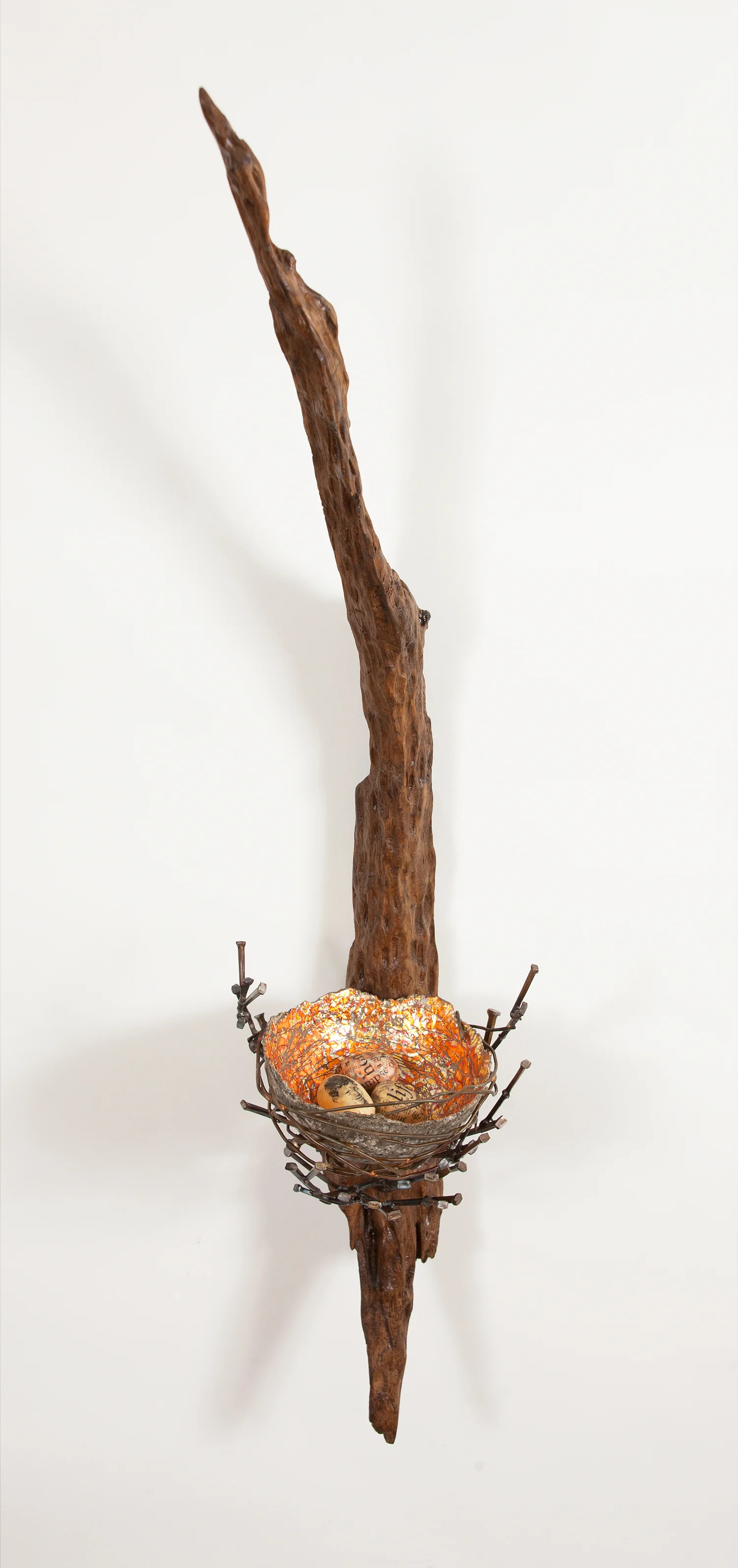 nest-three.jpg