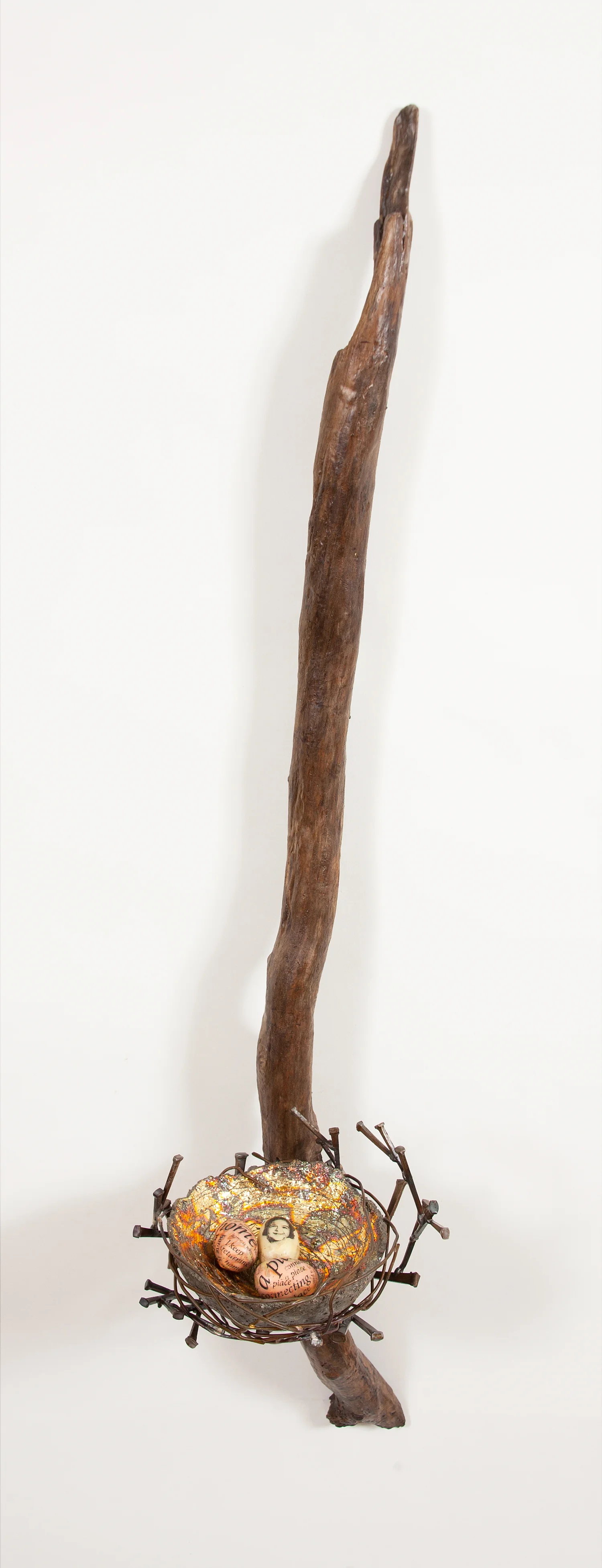 nest-one.jpg