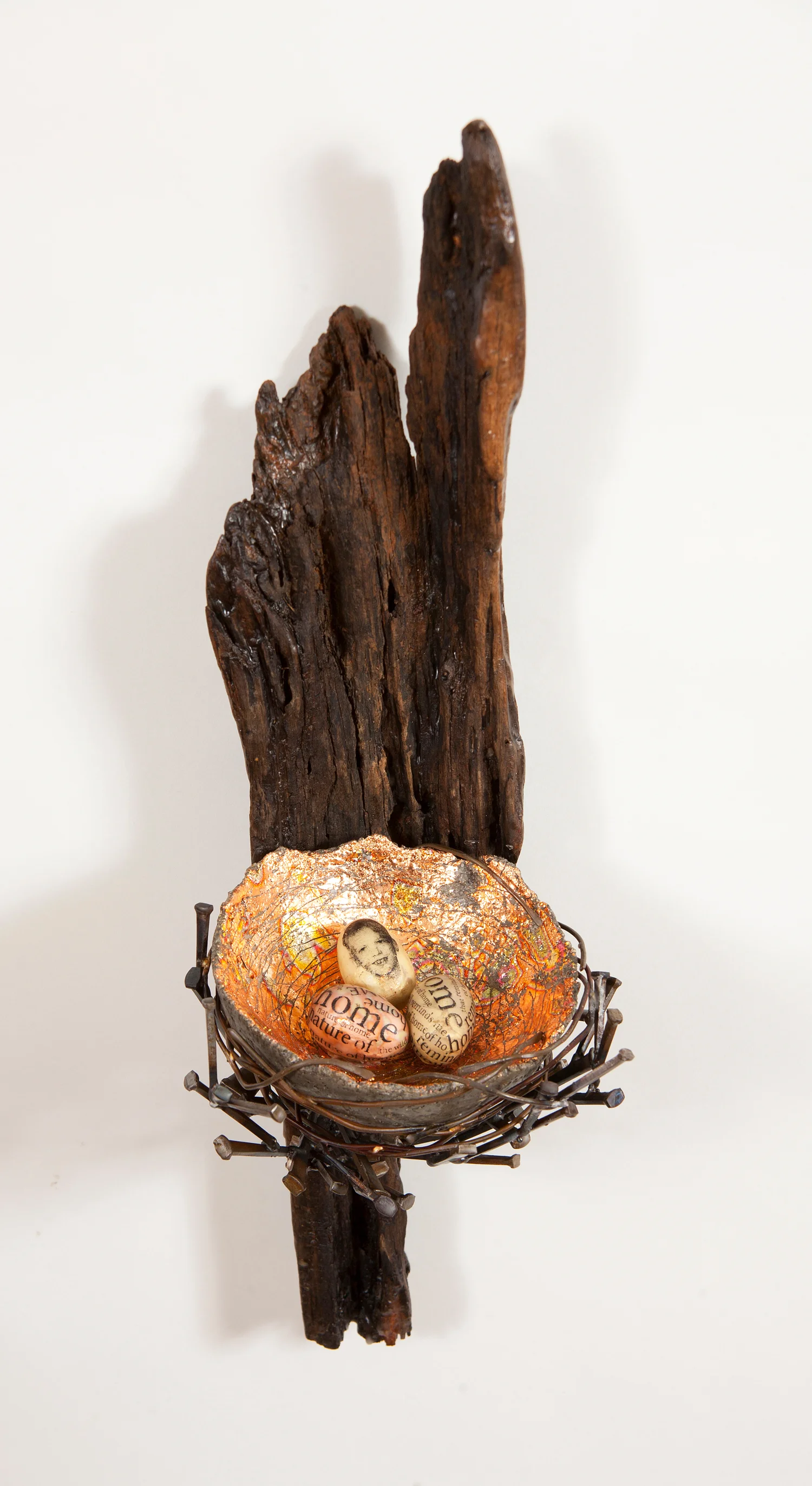 nest-two.jpg