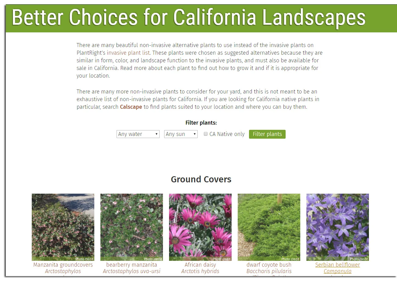 Better-plants-page.jpg