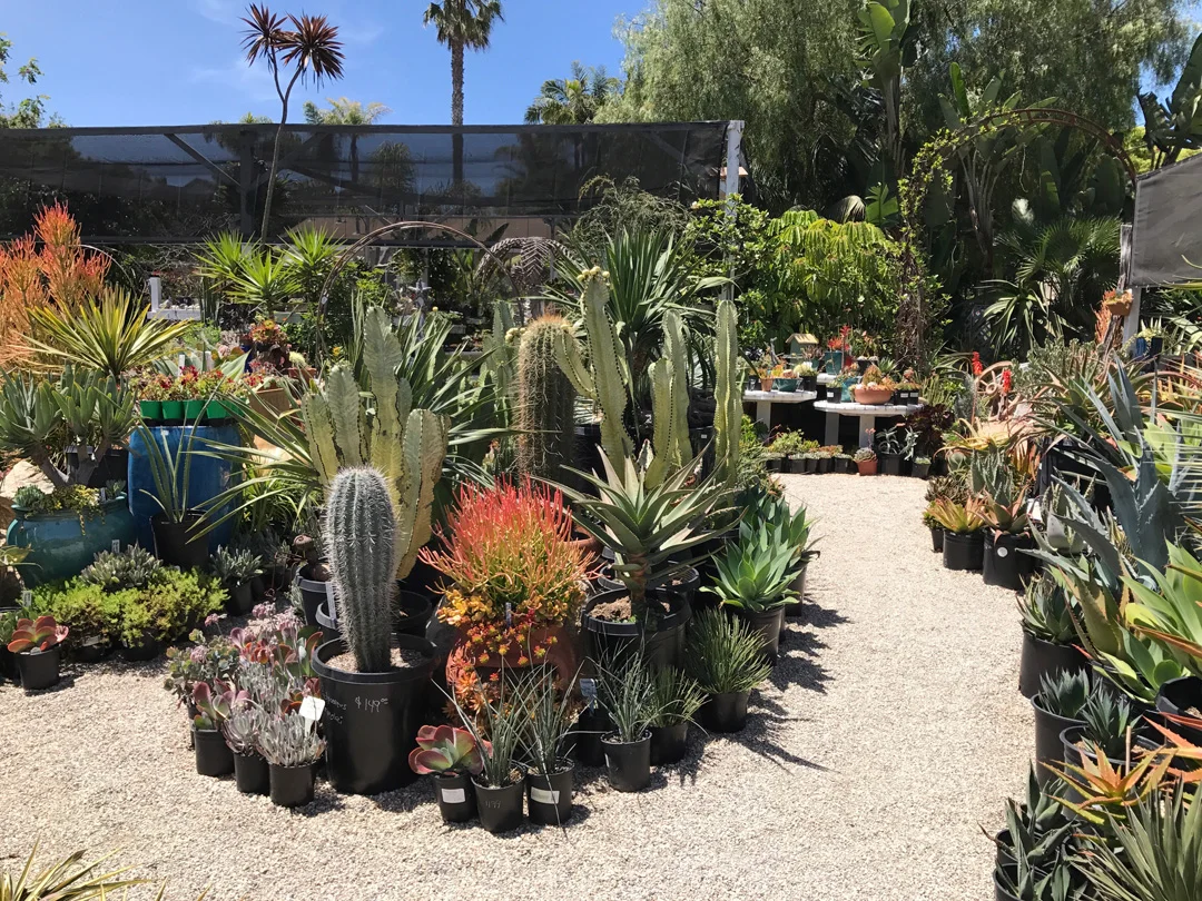 Book Review Where On Earth A Guide To Specialty Nurseries And - Elegant Gardens Nursery Moorpark Ca 93021 Book Review Where On Earth A Guide To Specialty Nurseries And - Elegant Gardens Nursery Moorpark Ca 93021