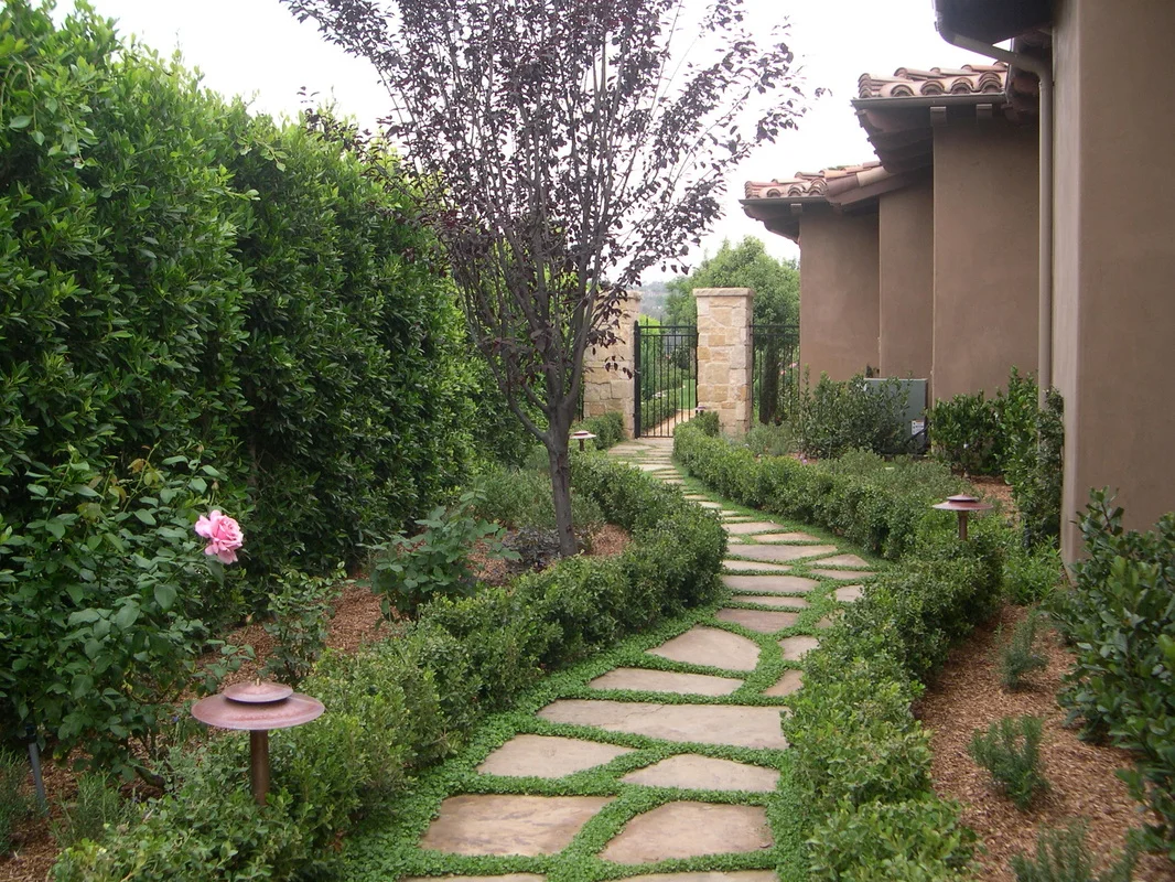Photos courtesy of Steve Harbour Landscapes .