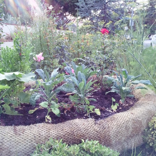 California Landscape Design Photos Courtesy Of Arleen Ferrara