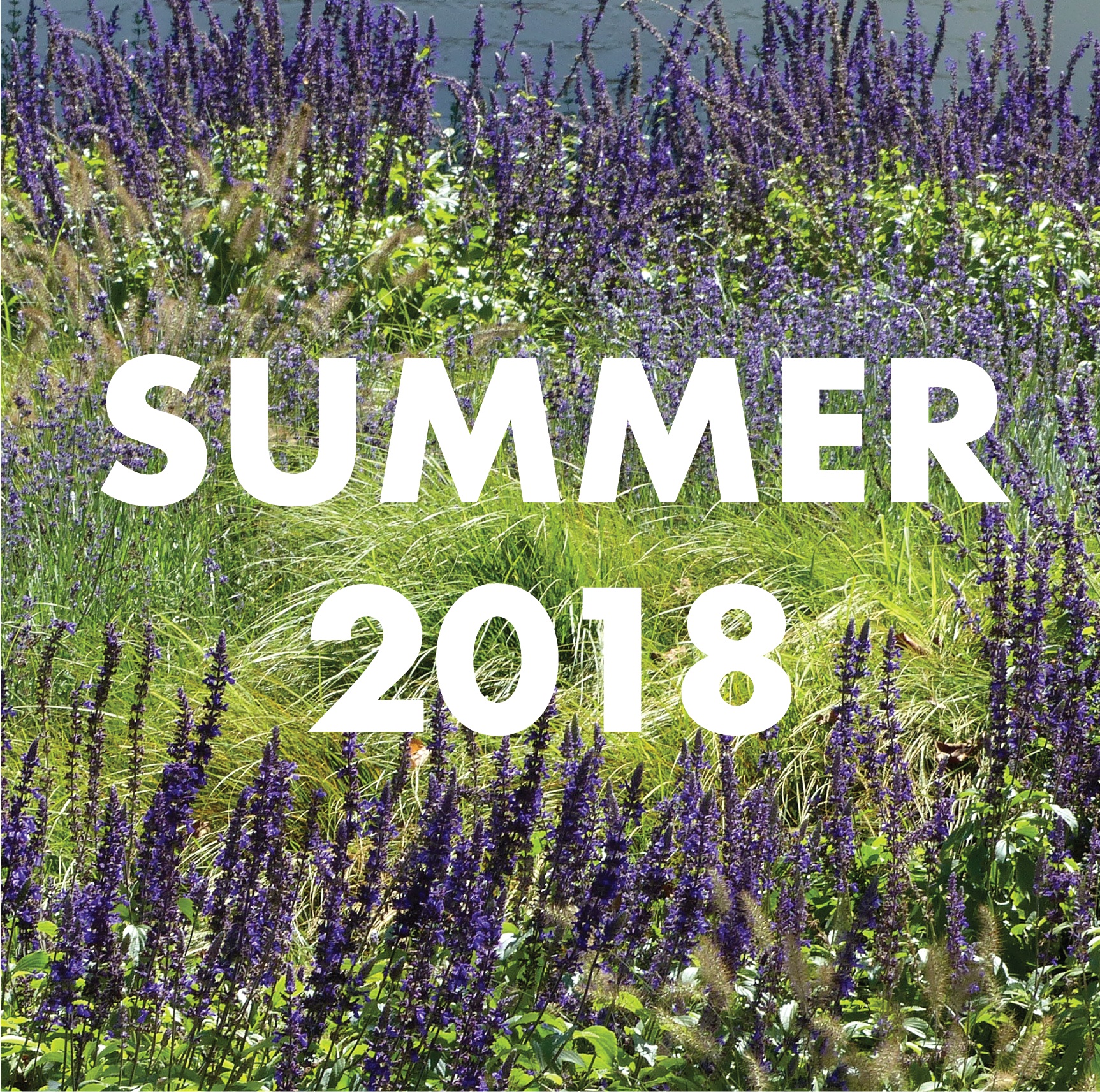 apld cld archive cover summer 2018.png