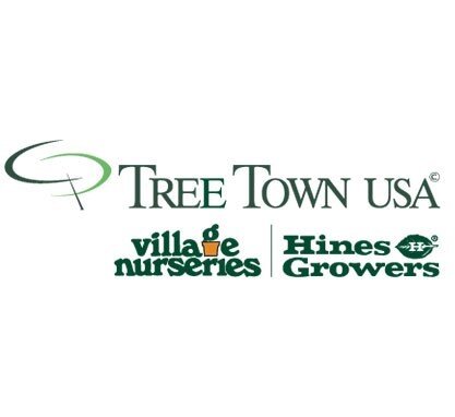 treetown logo.jpg