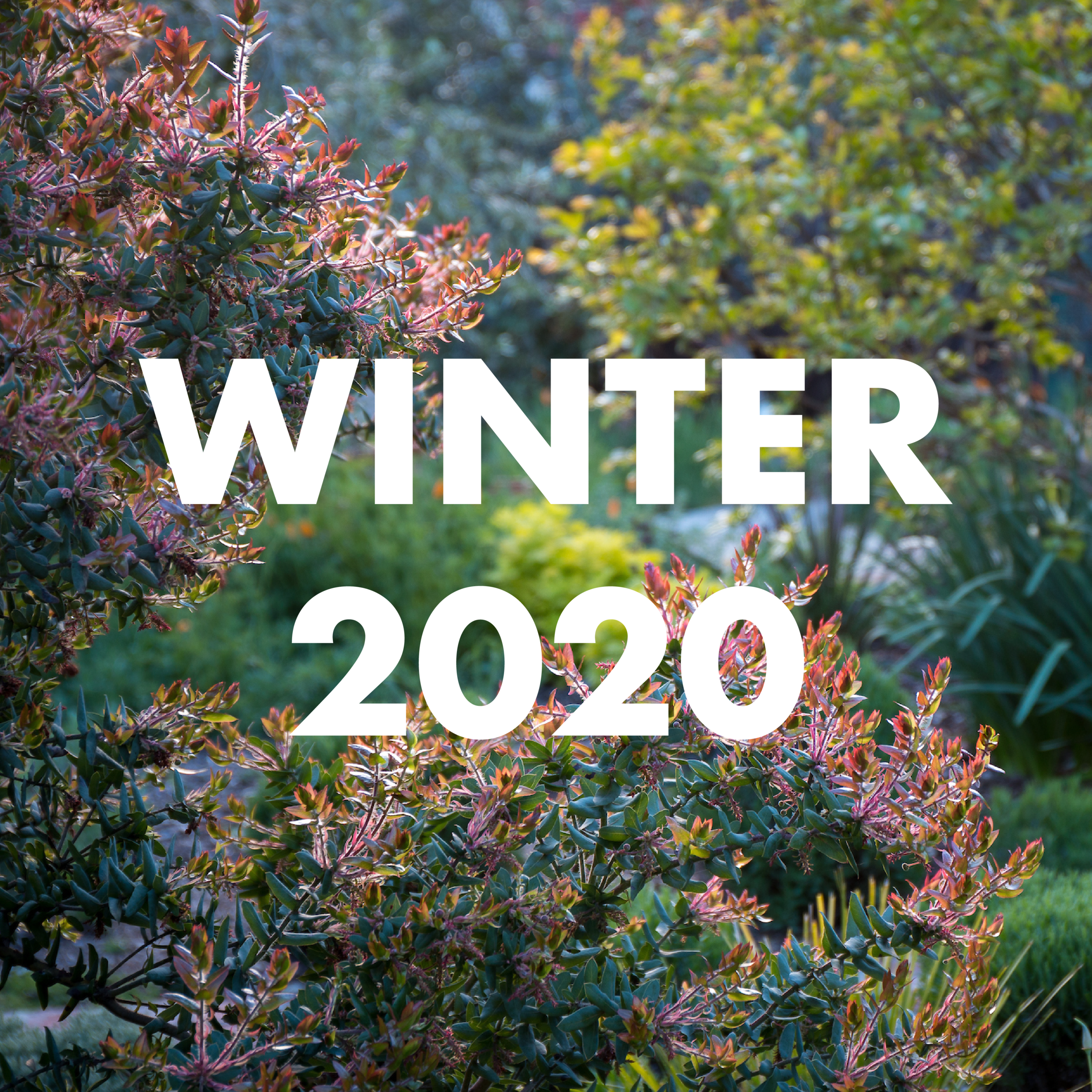 winer 2020 thumbnail-01.png