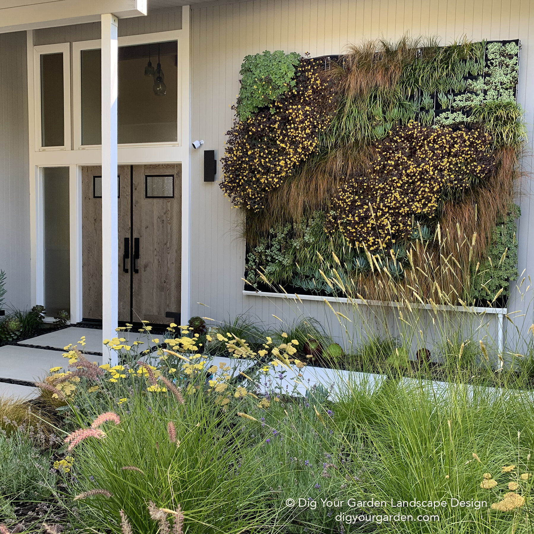Dig Your Garden Living-wall-grasses-succulents-front-entrance-modern-landscape-design-sausalito.jpg