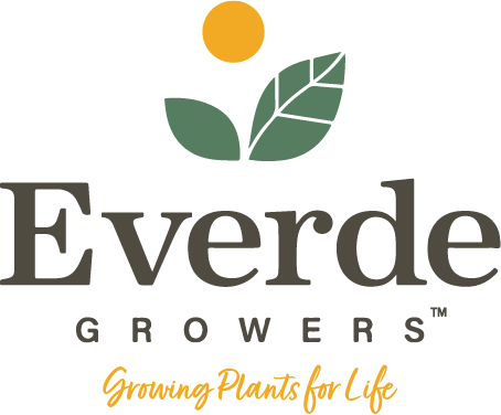 Everde Logo with Tagline (1).png