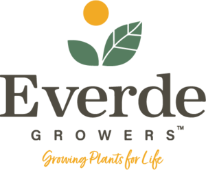 Everde+Logo+with+Tagline+(1).png