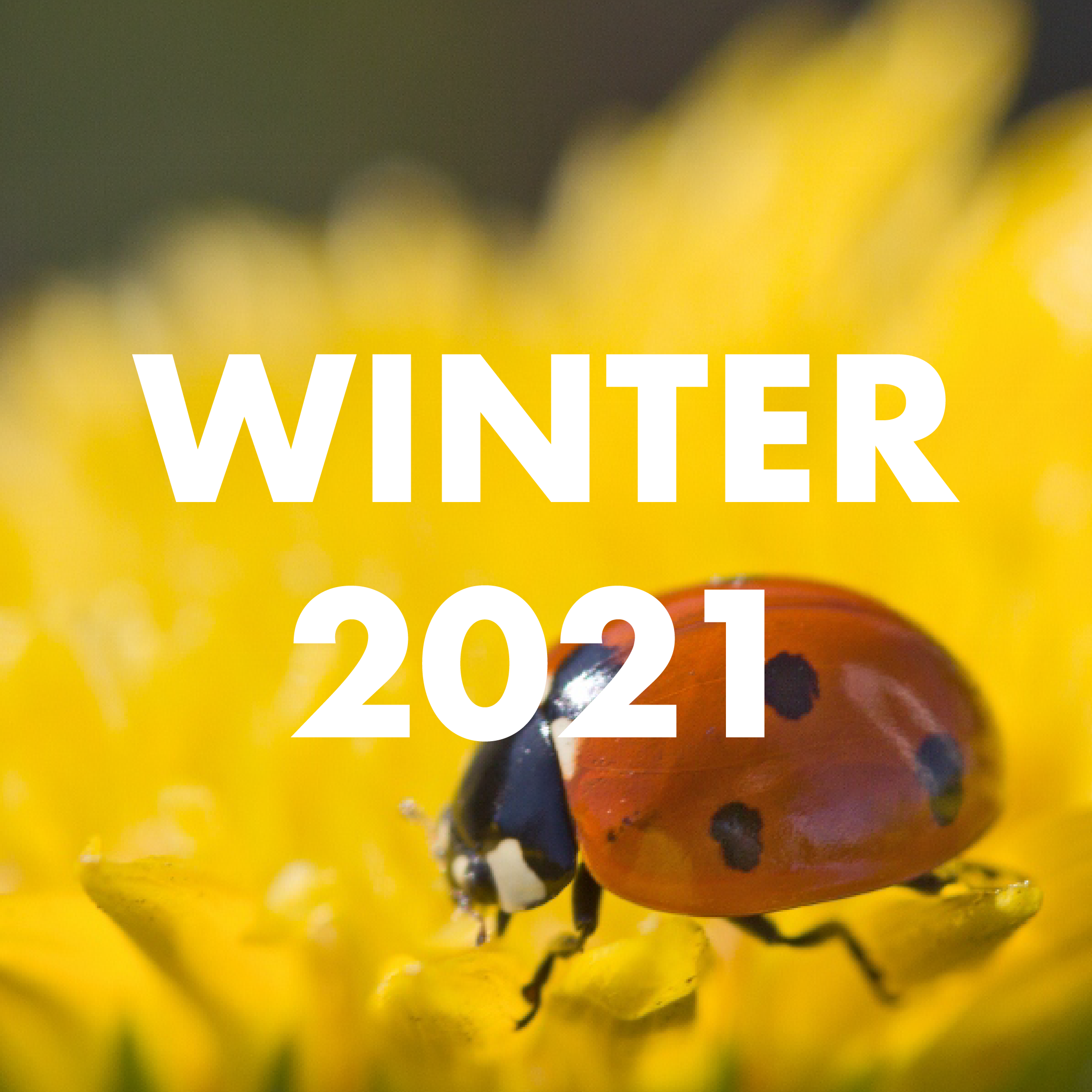 WINTER 2021-01.png