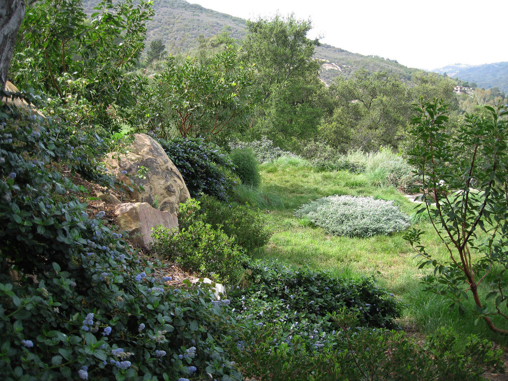 San Anselmo HIllside Sanctuary Garden - Dig Your Garden Landscape