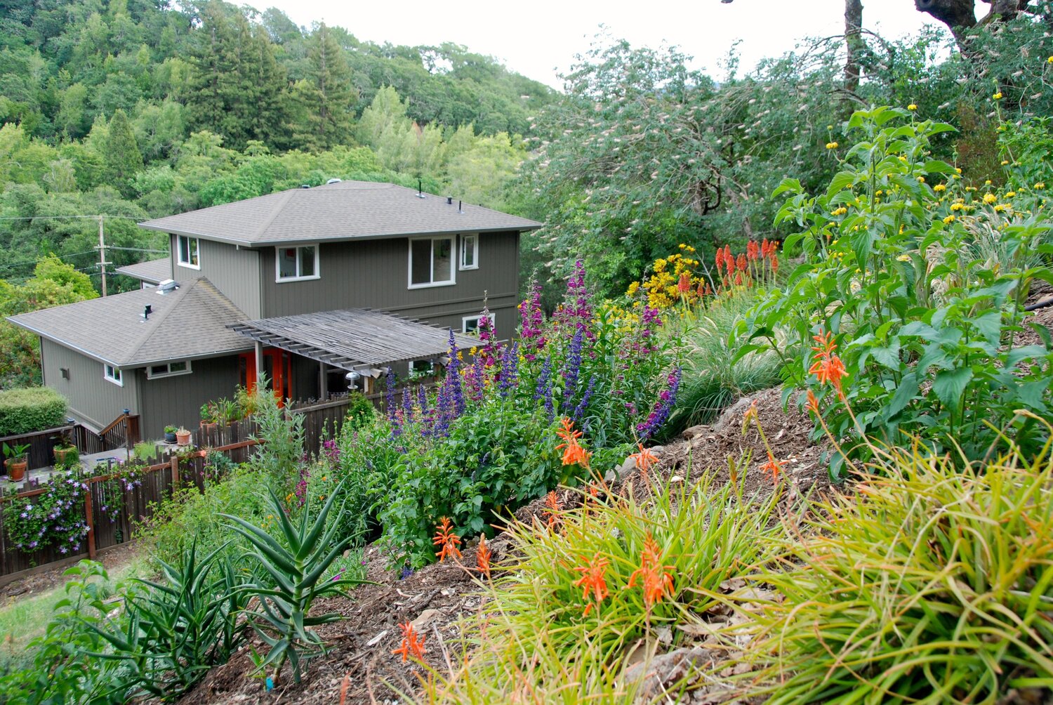 San Anselmo HIllside Sanctuary Garden - Dig Your Garden Landscape