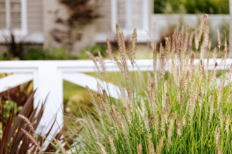 sacha mccrae BJH_6223.jpeg