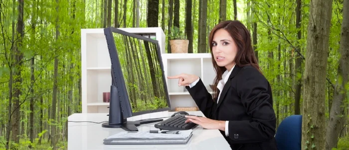 See the wood for the trees – and the truths hiding in plain sight