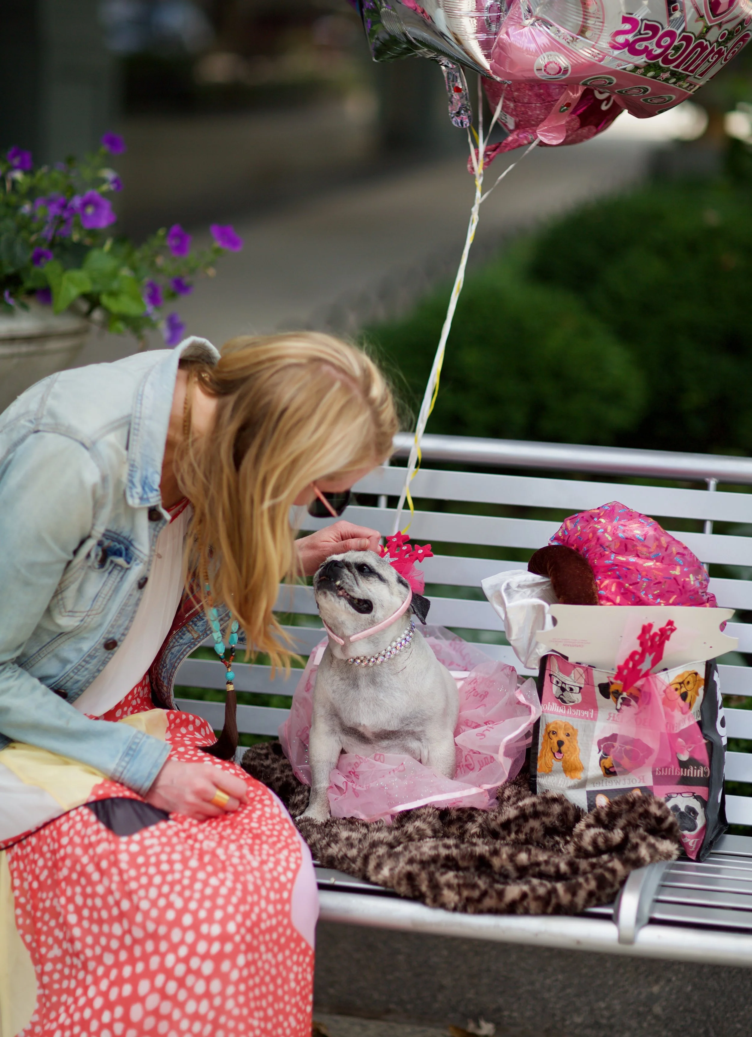 Lola on the bench 3.jpg