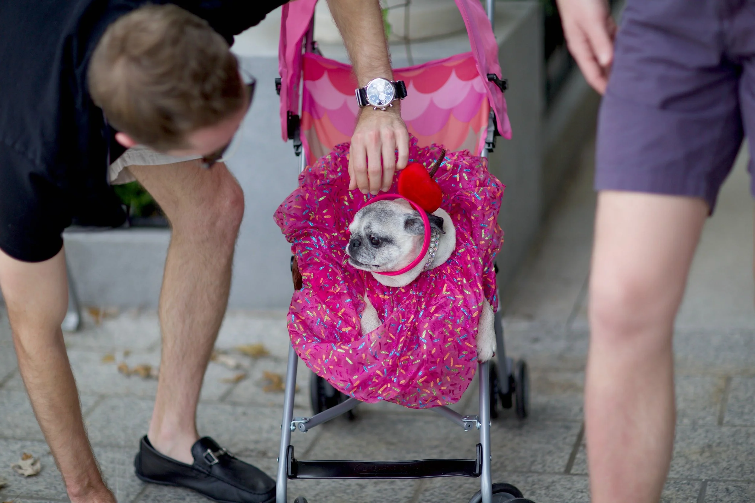 Lola and her men.jpg