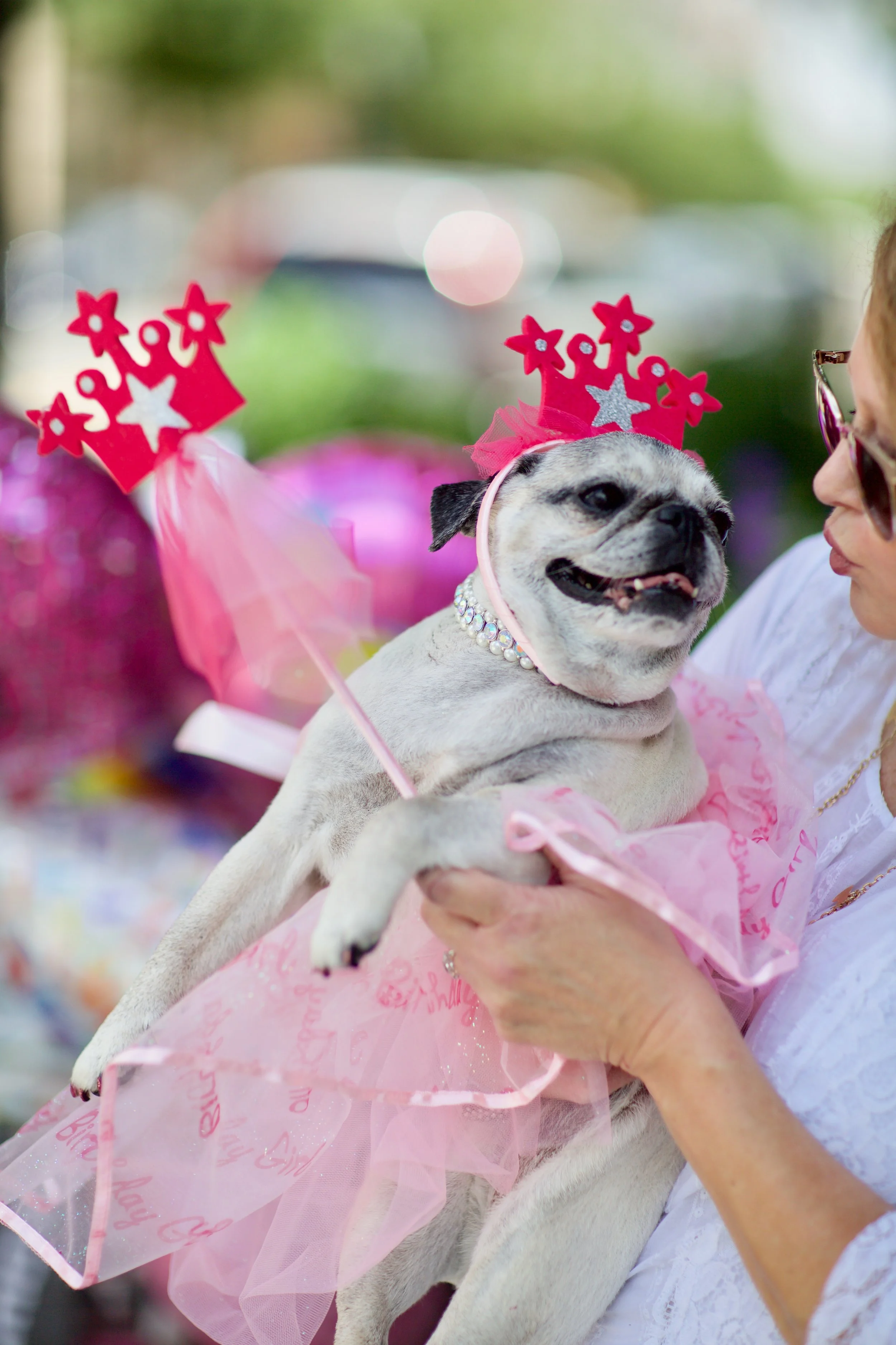 Lola the showgirl 1.jpg