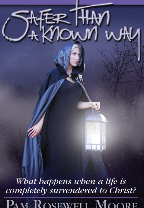 Ebook cover Chassity Safer Than A Known Way.png